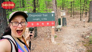 Hiking the Dogwood Trail at Lake Ouachita | Arkansas