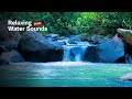 Peaceful River Water Flow in the Forest | Nature Sounds for Stress Relief &amp; Relaxation