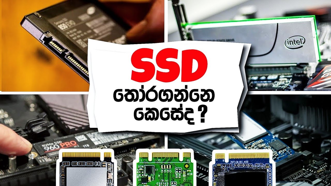 How To Choose SSD in Sinhala 🤔 | Watch This Video Before You Buy an SSD - Types Of SSD Explained