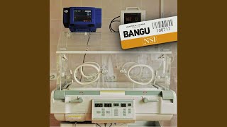 Nobody Cares (feat. PERION) - Bangu