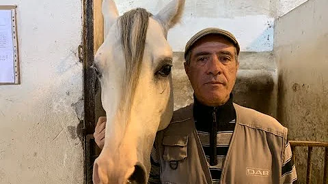 Come finisce il libro L'uomo che sussurrava ai cavalli?