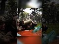 Kenapa Peluru Yang memantul Lebih Berbahaya