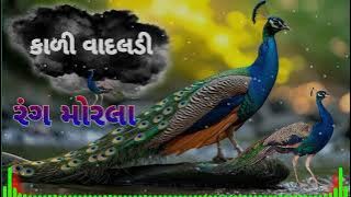 કાળી વાદલડી તને વેનવે રે રંગ મોરલા #dj #song #music #remix #newsong #love #comingsoon #like