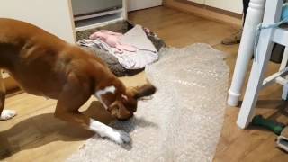 Bubble wrap