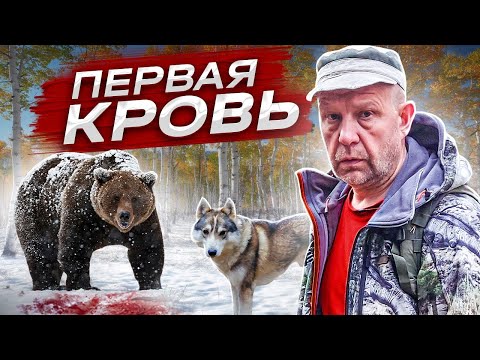 Видео: Случай на Охоте. Медведь вместо Лося.