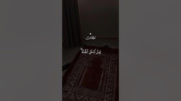 سعد الغامدي: سورة يس م آية 1-40 🌷🤍