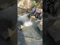 Pahirapan humuli ng isda kapag maraming bato #viralvideo #fishing #trending #shorts #amazing