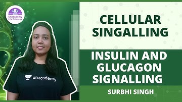 [Cellular Singalling] - Insulin and Glucagon Signalling for CSIR NET  2021🎯 By Surbhi Singh
