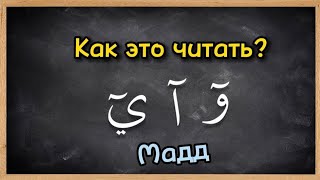 Все о долгих гласных в Коране: мадд табии, мадд сыля, мадд мунфасыль, мадд муттасыль, мадд лязим.