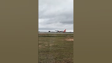 #shorts #viral #trendingreels #algorithm