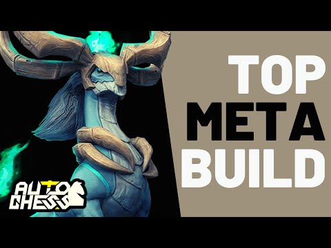 BEST META BUILDS FIGHT FOR TOP POSITION! | PUREZHUN AUTO CHESS ORIGIN