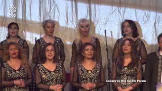Mi̇sget (Güvercin Uçuverdi)