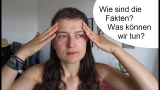 Klimakiller Nr 1 - Flugzeuge, Internet, Fleisch? - die Fakten & was wir tun können