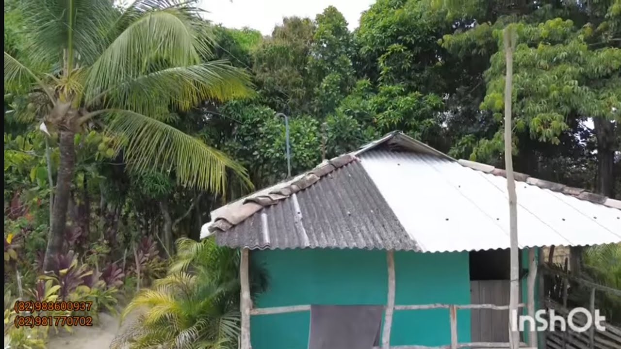 Vende um sítio São Severino zona rural de Joaquim Gomes em Al 7 hectares e meio $260.000