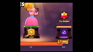 Piper Prestige 1😺💗