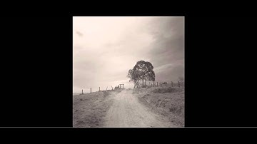 Susie Suh x Robot Koch - Here With Me (HD)