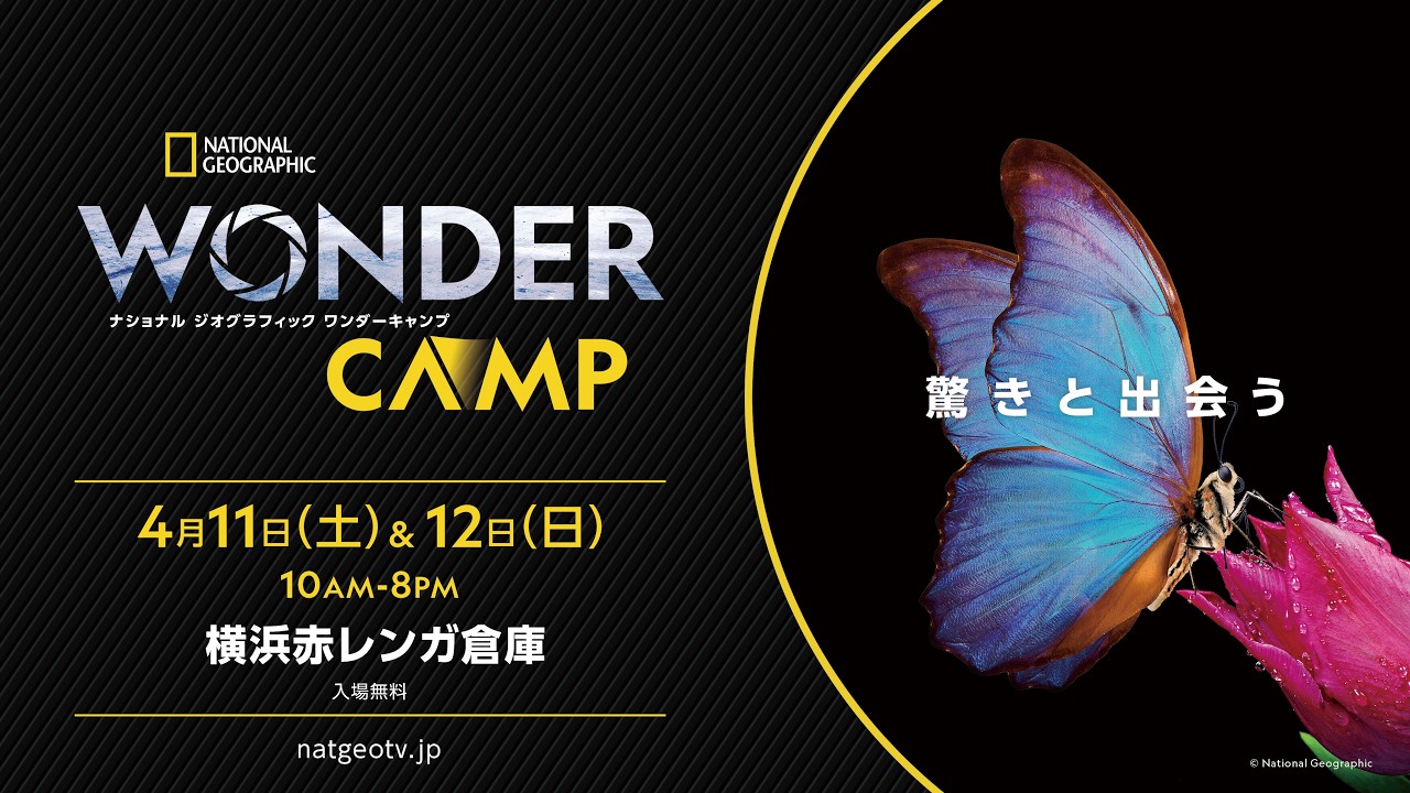 ナショナル ジオグラフィック ワンダーキャンプ開催?！ | ナショジオ 