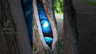 Художница в Екатеринбурге рисует Космос на деревьях.