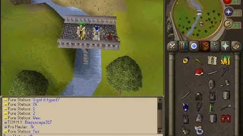 317blazescape 24/7 vps