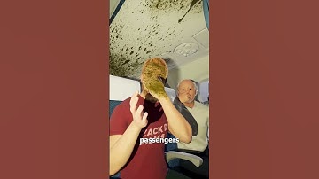 Thumbnail of Biohazard On A Plane 🤢