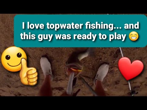 Bass fishing with a topwater lure on a beautiful evening ❤