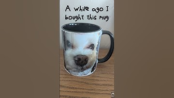 Playtesting is weird (but fun!) Part 2! #funny #gamedev #indiegame