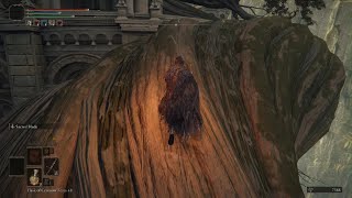 Elden Ring Godfrey First Elden Lord
