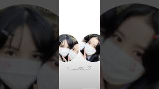 some of blackpink matching profile pics #blackpink #blink #lisa #jisoo #rosè #jennie #yg