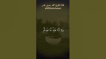 سورة الكافرون | تلاوة المقرئ محمد حسين عامر Holy Quran Surat Al-Kaferon