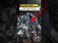 Cash Found In Judge House Video | Delhi HC Judge Cash Video😱💰 | Burnt Cash Video | Yashwant Verma