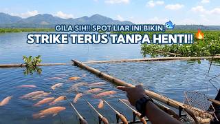 🔥SPOT LIAR!! Ikan Kayak Gak Habis, STRIKEE Terus Tiap Lemparan!! - Mancing Cirata Terbaru 2026 #20