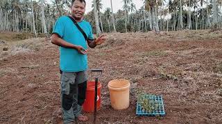 Paano Gawin Ang Basal Application Sa Atsal? Ito Po Share Ko Lng Mga Ka Vg Amazing Farming Tv.