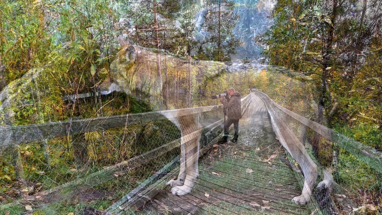 Kierros Ranuan Eläinpuistossa. | Tour of Ranua Animal Park.