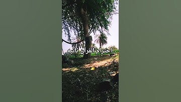 #islamsobhi #surah_al_kahf #surahalmuminun #suratyasin #تلاوة_خاشعة #سورة_يس #یاسر_الدوسري #قرآن_يري