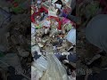 砂場にすむ母と娘の戦い