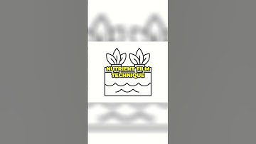6 Common Hydroponic Systems