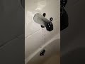 repairing a shower spout.