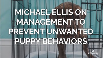 Michael Ellis over management om ongewenst puppygedrag te voorkomen