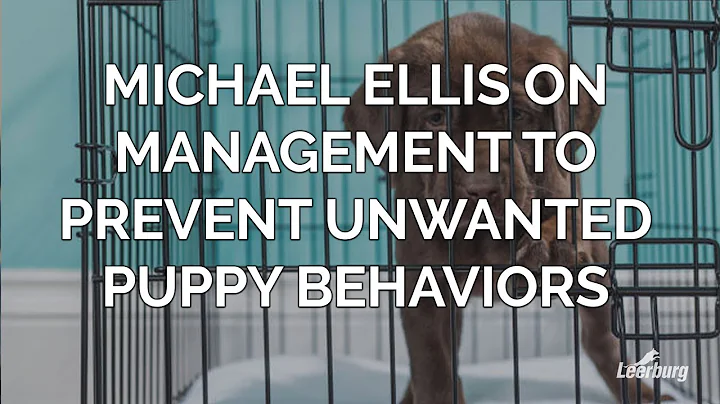 Michael Ellis on Management to Prevent Unwanted Puppy Behaviors