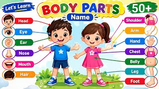 Información Body Parts Name for Kids 👦👧 | Learn Human Body Parts | Educational Video for Children | Body parts Guía
