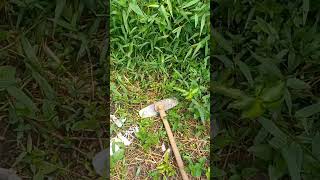 Çadeira Çando Mato Alto