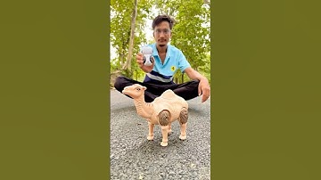 Remote Control Camel 🐪 New unboxing