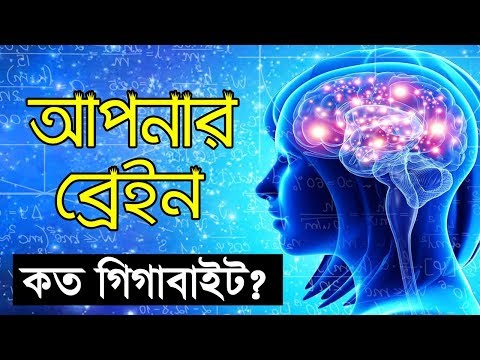 ভিডিও: ভেক্টর কয়টি উপাদান ধারণ করতে পারে?