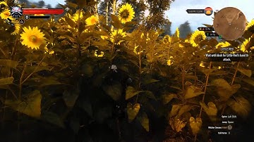 The Witcher 3 - Shadowplay - Transcode Quality Test