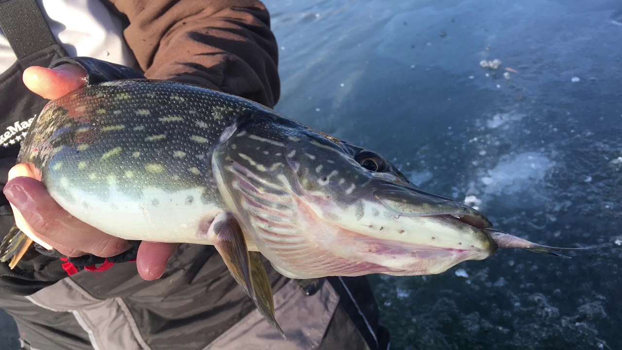 Ice fishing Green Lake County YouTube