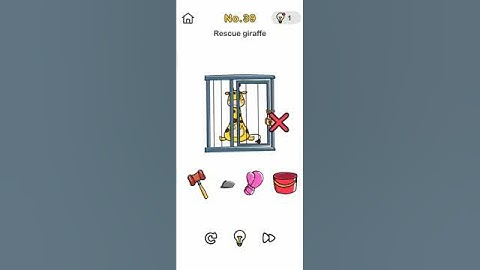 brain out level 39 rescue giraffe solution walkthrough