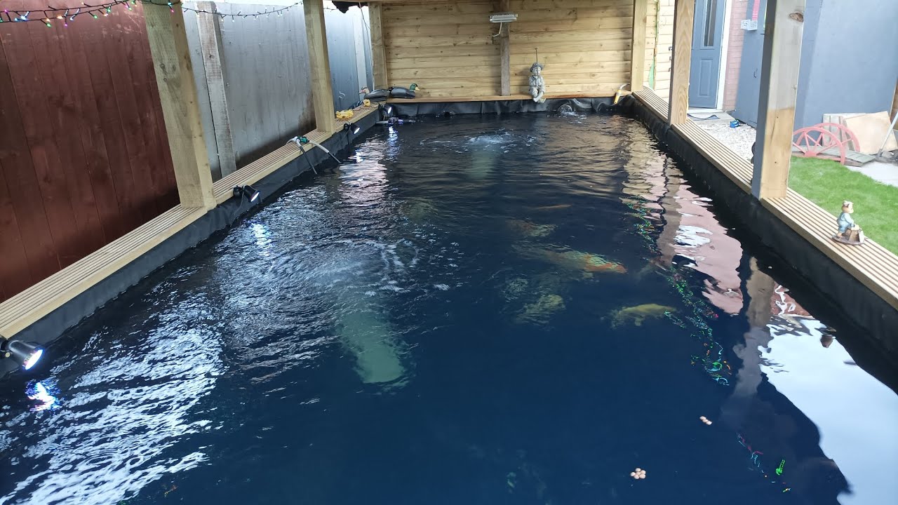 K1,MEDIA, MOVING BED, TRIALS AND ERRORS.