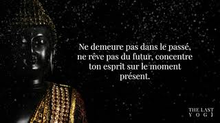 Citations De Bouddha Pour Vivre En Paix Youtube Citations De Bouddha Pour Vivre En Paix Youtube