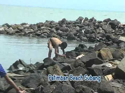 Pantai Patimban Subang Jawabarat