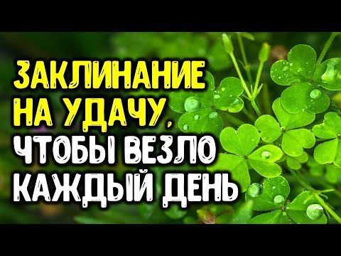 Заклинание на удачу в домашних условиях